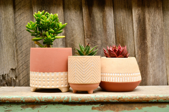 Ceramic Tricolour Terracotta & Beige Geometric Patterned Pot Planters