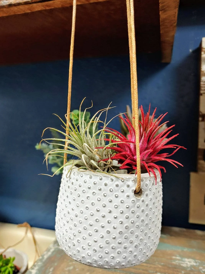 Mini White Polka Dot Hanging Succulent Pot | Mini Planter 2.5