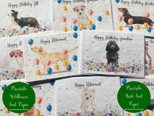 Plantable Greetings Card, Wildflower Or Herb Seed Paper Attached To Recycled White Personalised Dog Card