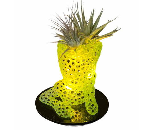 Baby Groot Light/Lamp With Recessed Head Ideal As Air Plant Holder Planter Base