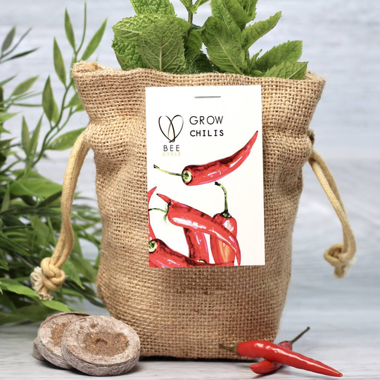 Chilli Jute Bag Grow Set