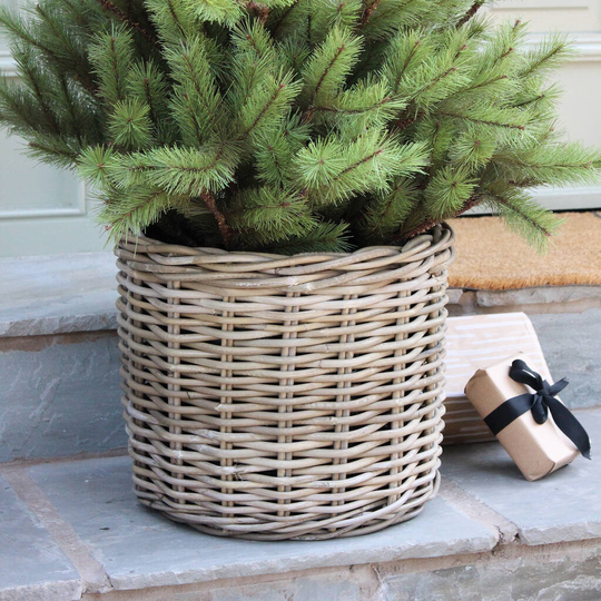Natural Round Rattan Planter