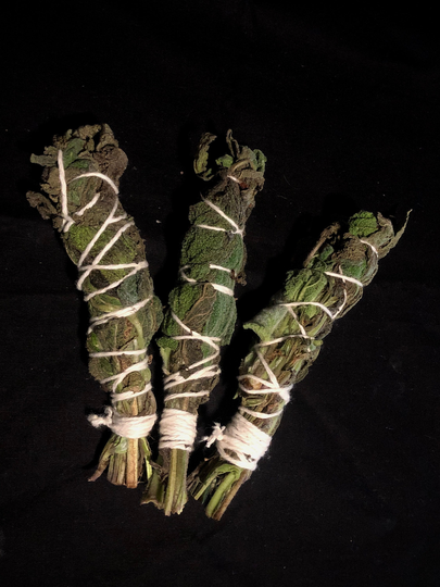 Clary Sage Herb Bundle