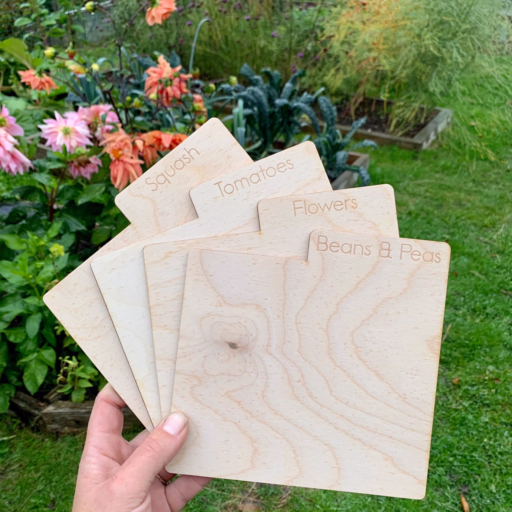 Seed Box Dividers | Pack Of 4