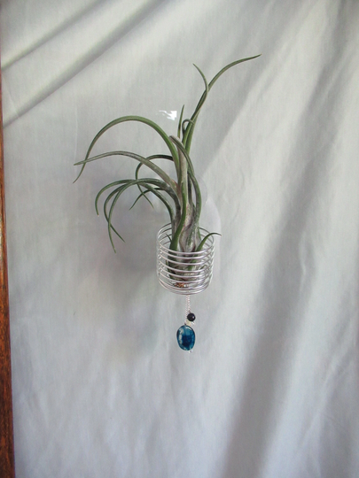 Window Wire Air Plant Hanger X-Large Silver - Tillandsia