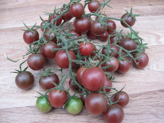 Tomato Seeds Black Cherry