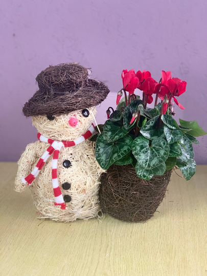 Novelty Christmas Planters
