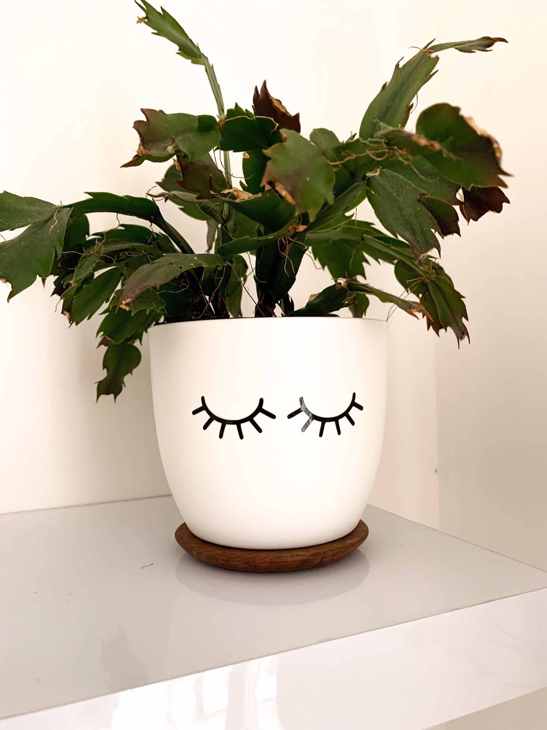 White Plant Pot Face, Indoor Planters, Self-Watering, Personalised Office/Shelf Home Decor, Gifts For Her, Eyelash Design Girl