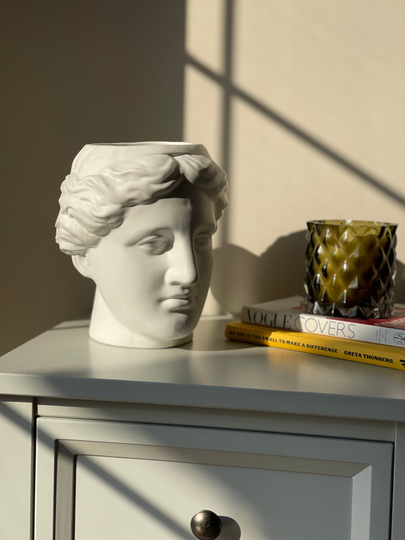 Monochrome Venus Planter For The Home