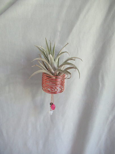 Window Wire Air Plant Hanger X-Large Rose - Tillandsia