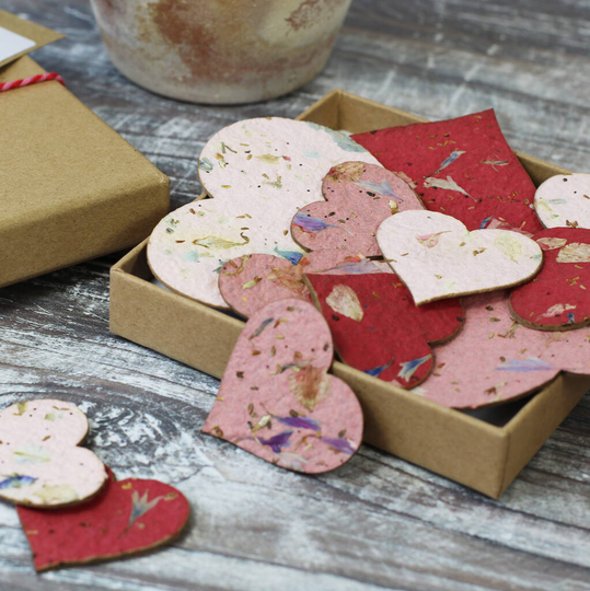 Seed Paper Hearts Letterbox Gift New Colourway