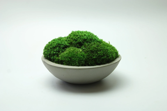 Moss Bowl | Concrete Table Centrepiece Art