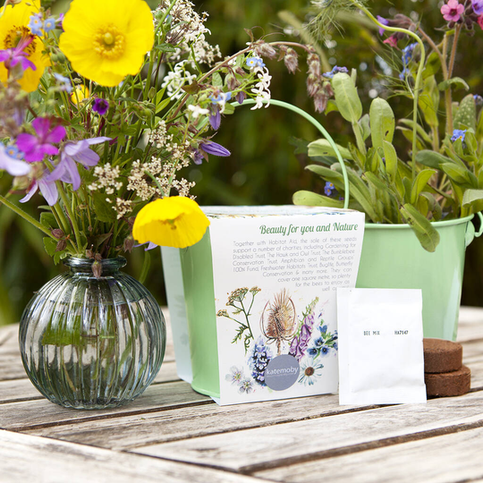Grow Your Own Wildflower Bouquet And Vase Gift Set