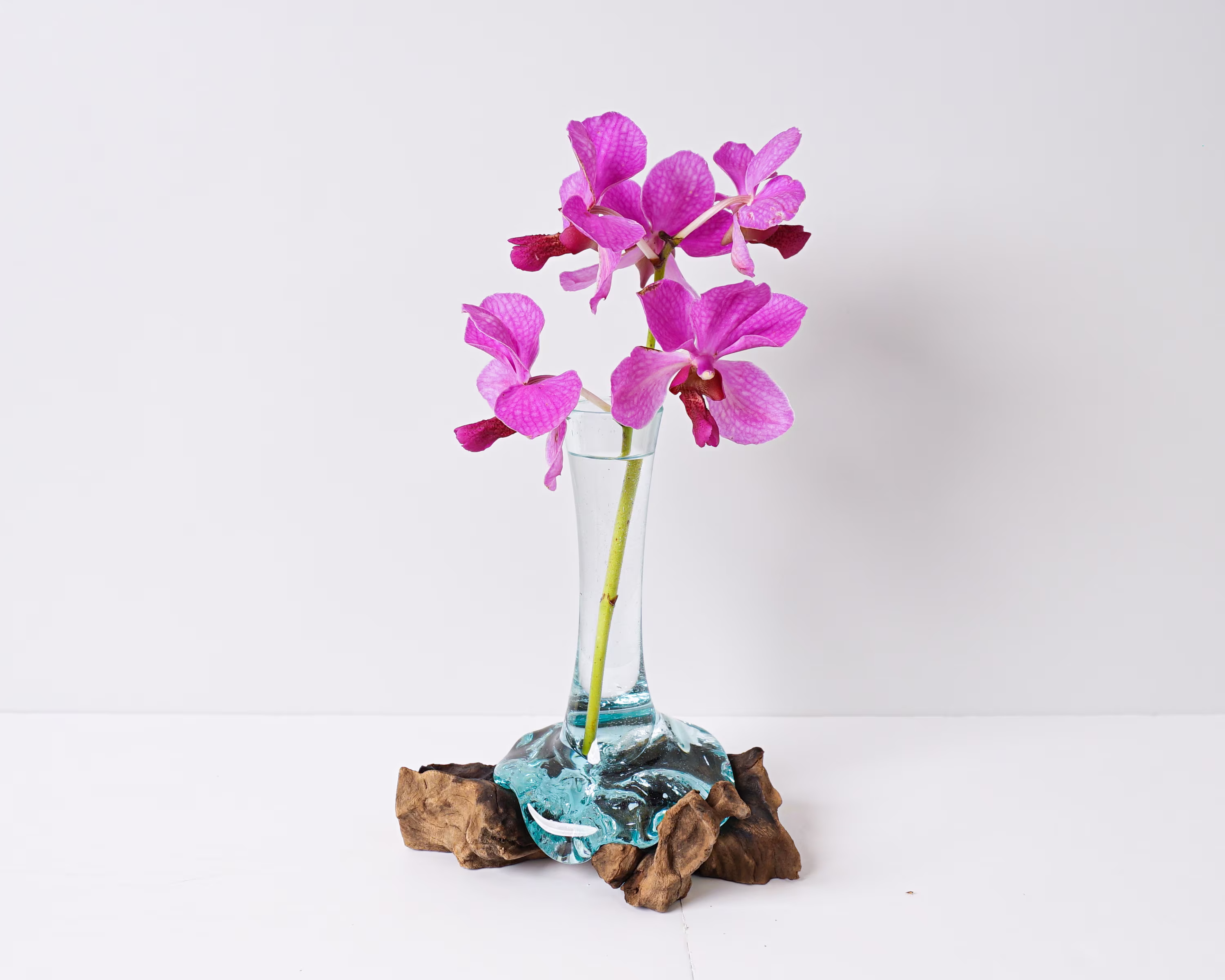 Blown Glass On Driftwood, Vase, Gamal, Molten Glass, Terrarium, Hand Recycled Home Decor, Housewarming, Gift For Dad, Mother