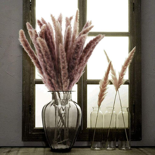 Pampas Grass 30 Pcs Dried Pampas Herbs Natural Dried Flowers Phragmites Communis Bouquet Artificial Flowers for diy Home Kitchen Wedding Table Flower