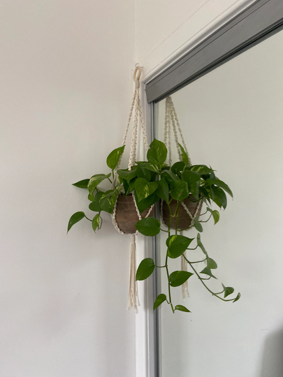 Macrame Plant Hanger #3