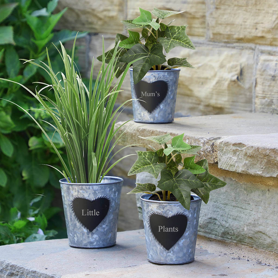 Three Personalised Heart Bucket Planters