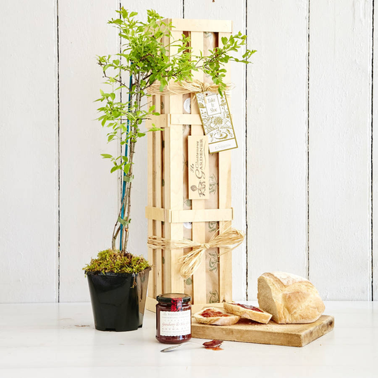 Grow Sloe Gift Crate