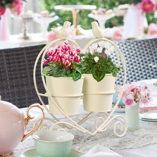 Love Birds Double Planter Gift