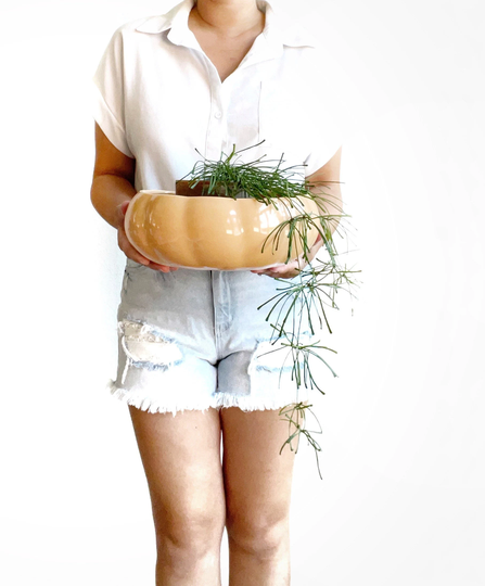 Shallow Ribbed Peach Ceramic Pottery Flower Planter