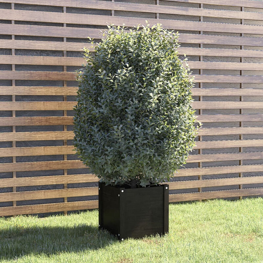 Asupermall - Garden Planter Black 40x40x40 cm Solid Pinewood