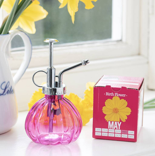 Grow Your Own Birth Flower, Mums Gift , Gardening Birth Flower, Bright Colours, Gardening.plant A Flower, Indoor Garden, Birth Month-Grow
