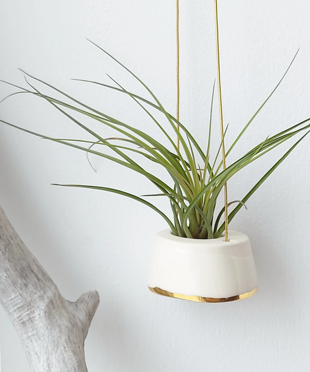 Small Plant Hanger For Airplant | Tillandsia, Ceramic Support Airplant, Soft White Real 22K Gold Design, Minimalist Hygge Et Boho Design