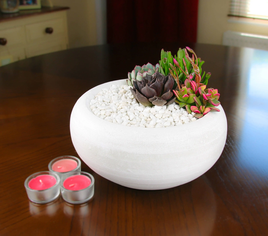 Indoor Succulent Plant Arrangement in Rustic White Ceramic Planter | Modern Kit With Living House Plants & Decorative Gravel