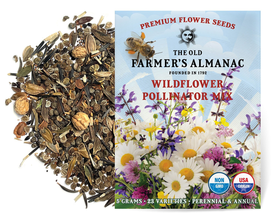 The Old Farmer's Almanac Premium Wildflower Seeds | Pollinator Mix