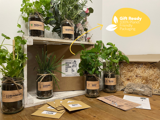 Indoor Herb Garden Planters Sets Of Up To Six Jars