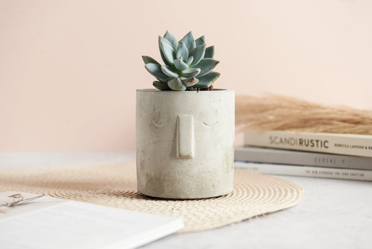 Nordic Style Concrete Plant Pot, Handmade Pot With Nordic Face. Perfect For Indoor Or Outdoor Use