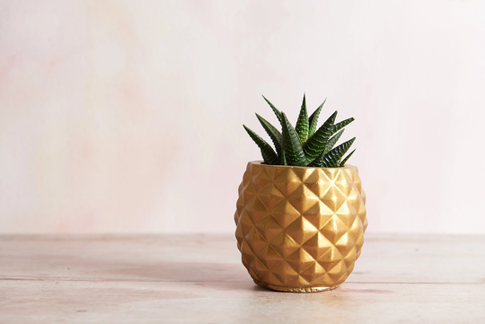 Concrete Pineapple Plant Pot, Available in Several Colours. Indoor Planter With Drain