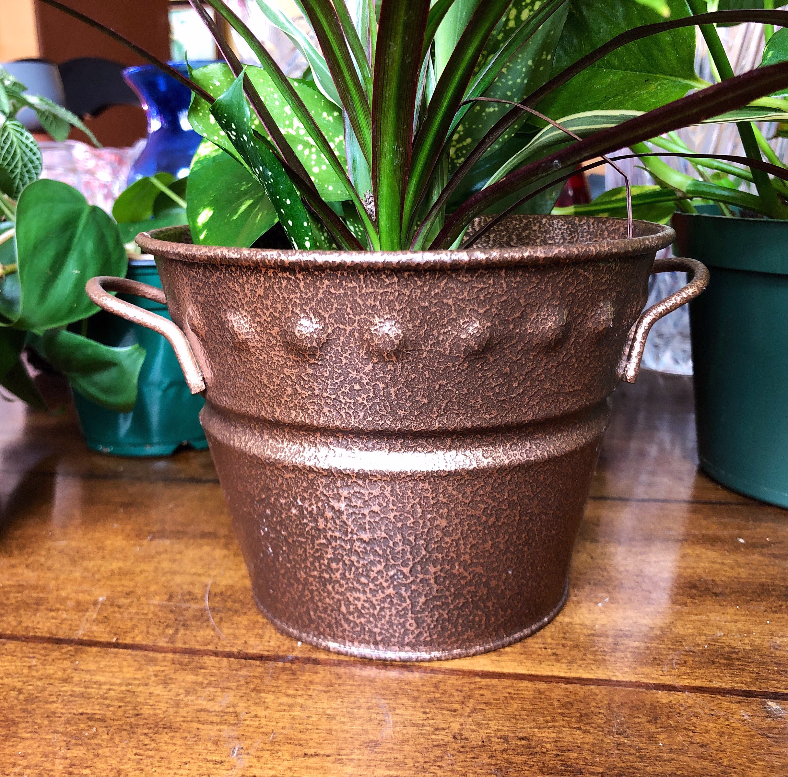 Decorative Pots For Plants 4.5