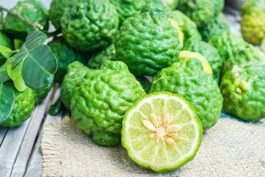 Asia Vegetable Seed 5 Kaffir Lime