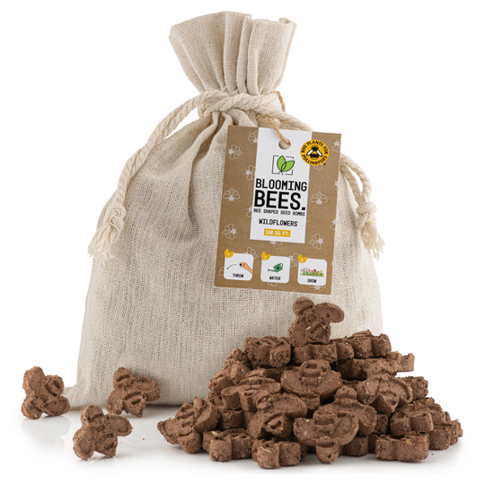 Bee Shaped Wildflower Seed Bombs. 160sqft Of Coverage