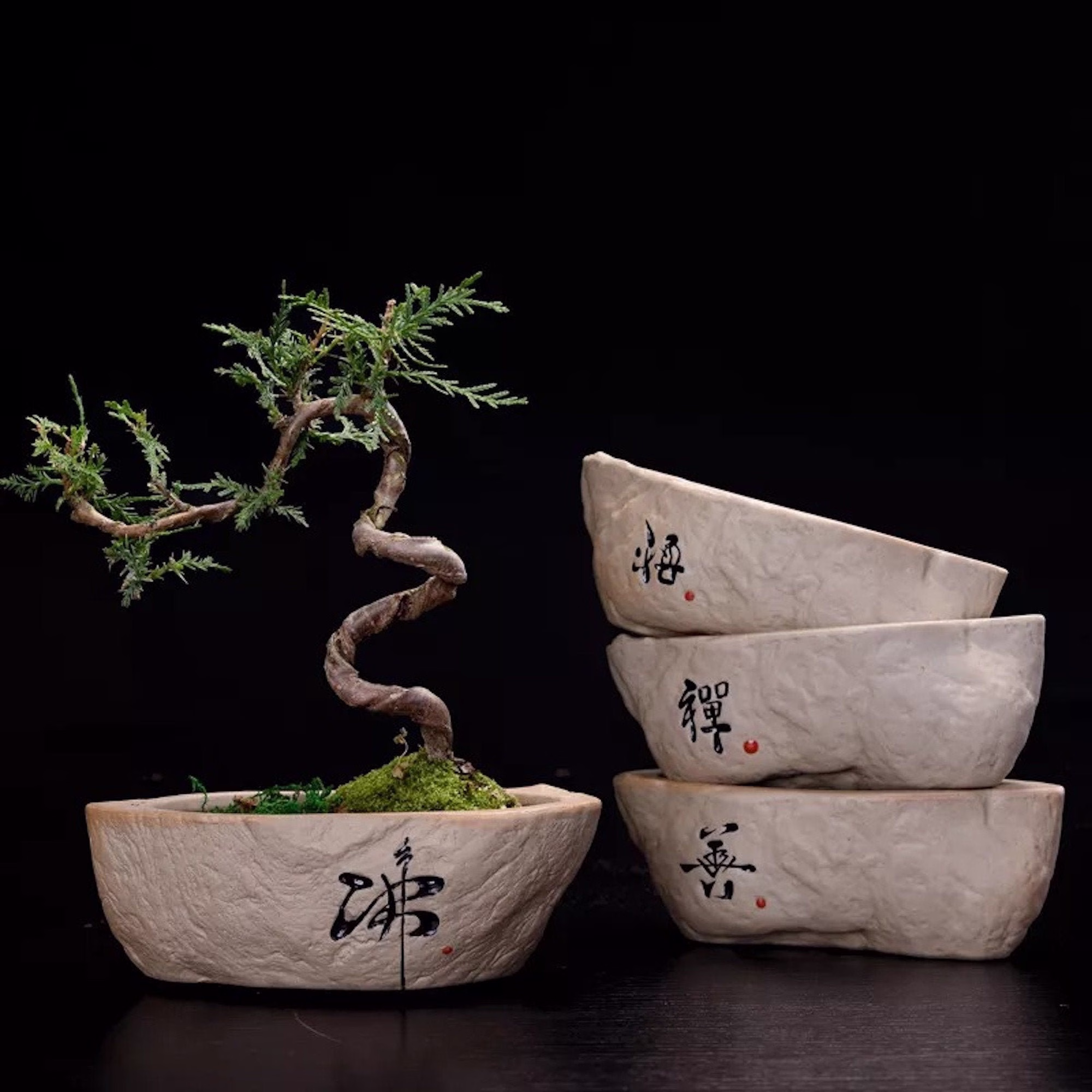 Chinese Flower Pot, Zen Planter, Indoor Planter