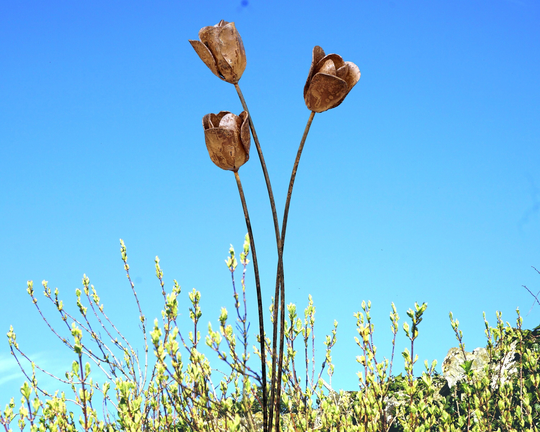 3 Rusty Metal Tulips Flower Sculptures/Garden Plant Supports Art Decorations Outdoor Rusty