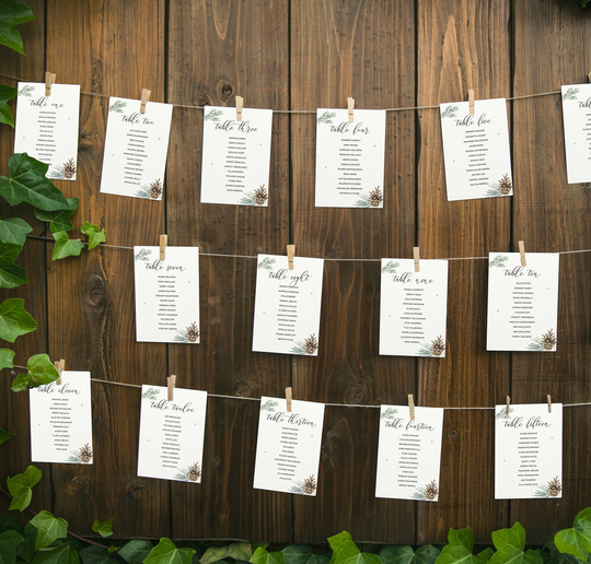 Seating Chart Cards | Tis The Season Winter Wedding
