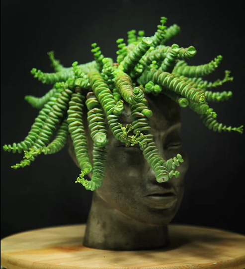 Human Face Shaped Flower Pot
