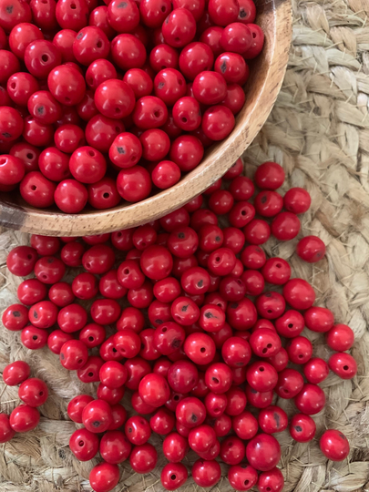 Scarlet Red Acai Seeds, Natural Colombian Seed Jewelry, Craft Supplies, Jewelry Making, Pack Of 100 Seeds