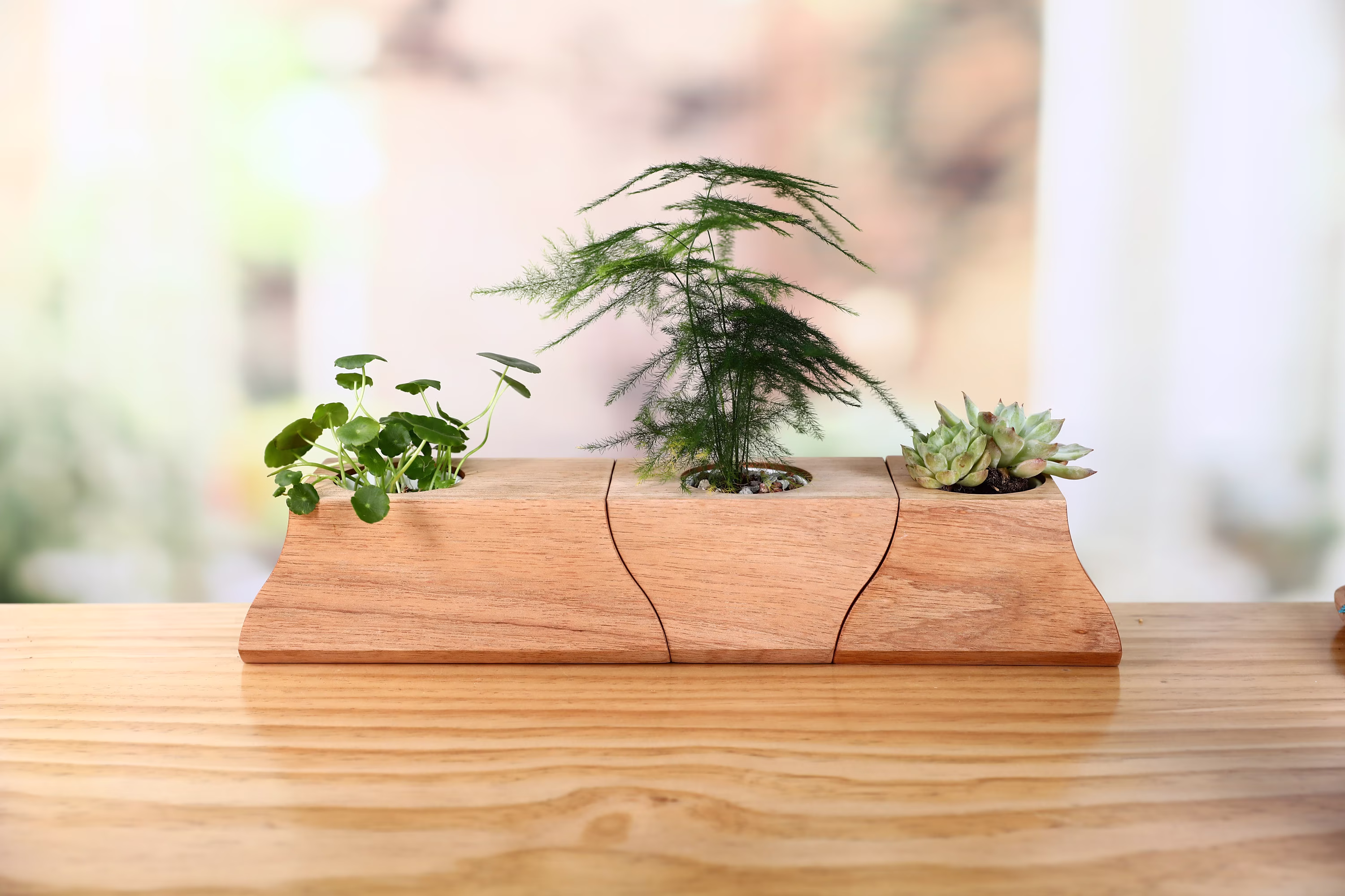 Ressha Set Of 3 Wooden Office Plant Pots | Beautiful Ceramic Inside Decorative Succulent Best Home & Decor