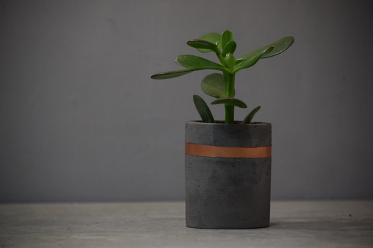 Mikkel Charcoal Concrete Planter Cylinder Concrete Pot