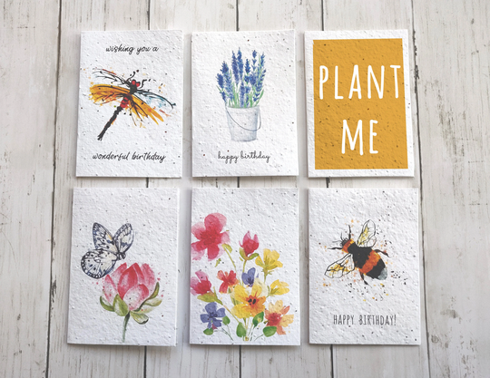 Plantable Birthday Card Pack, Seeded Eco Friendly Set Of 5 A6 Happy Blank Cards, Watercolor Variety Multi Pack