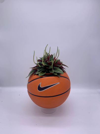 Mini Nike Basketball Planter/Indoor Size