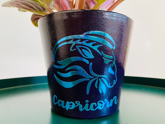 Capricorn Zodiac Plant Pot Planter With Drainage Hole, Made Clay Terra Cotta