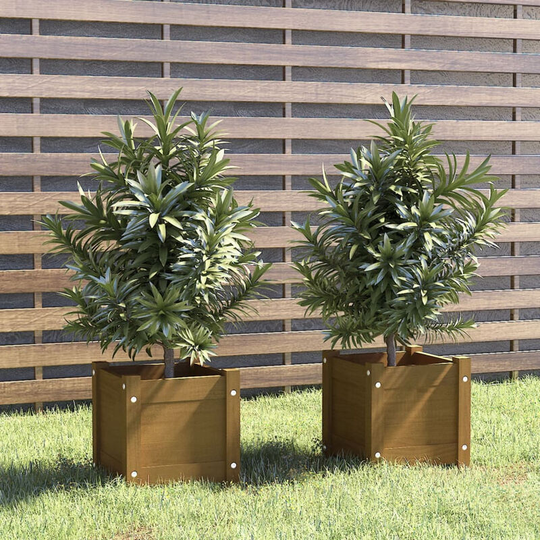 Asupermall - Garden Planters 2 pcs Honey Brown 31x31x31 cm Solid Pinewood