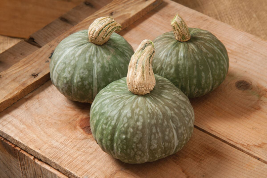 15 Organic Geisha Kabocha Winter Squash Seeds Kürbis Samen Zaad Zaden Zucca Semi Sementi Sementes Siemenet Citrouille Graines Semillas Somen