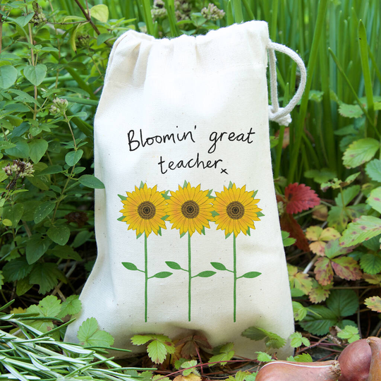 Sunflowers Teacher Gift Bag With Sunflower Seeds