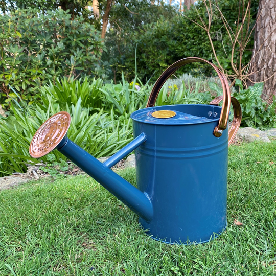 Heritage Blue & Copper Metal Watering Can With Rose
