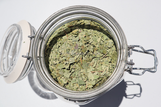 Organic Neem Leaf